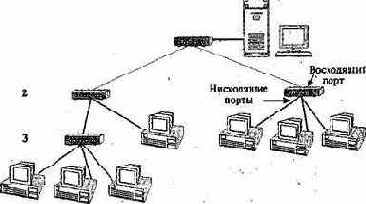 Сетевые информационные технологии