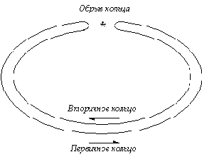 Основы технологии FDDI